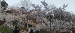 -Dr.林醫生产后修复·配方产康(南京江宁万达店)