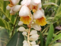 -成飞公园