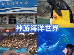 -威海华夏城景区