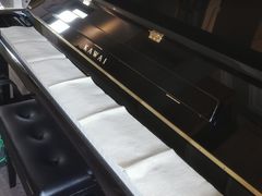 -柏斯琴行(汾阳店)