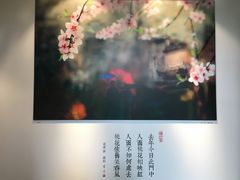 -春水堂人文茶馆