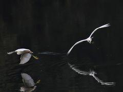 -重庆彩云湖湿地公园