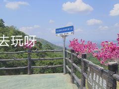 -莲峰云海景区