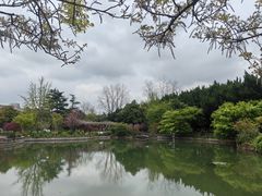 -嘉定紫藤园
