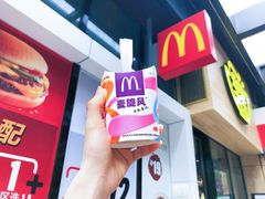 西班牙红提口味麦旋风-麦当劳(东苑丽宝商业广场店)