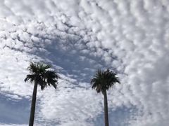 -七星潭蓝天广场