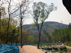 -白水寺森林公园