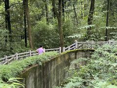 -中国大熊猫保护研究中心雅安碧峰峡基地