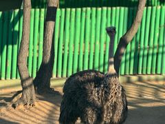 -西霞口神雕山野生动物世界