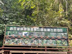 -西双版纳原始森林公园