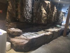 -郑庄脂渣海鲜楼(九水路店)