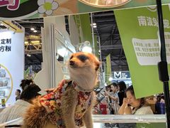 -东浩兰生上海世博展览馆