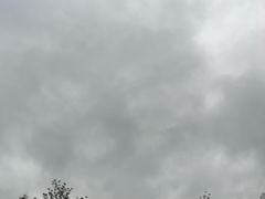 -庐山风景名胜区-东林大佛
