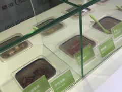 -Salud撒露欧洲冻酸奶(蓝色港湾店)