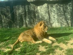 -北京野生动物园