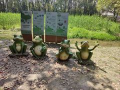 -同里国家湿地公园