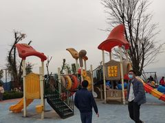 -铁山坪森林公园