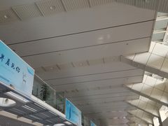 -威海大水泊国际机场