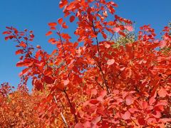 -北京西山国家森林公园