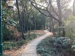 -杭州黄龙洞