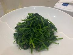 -食神鱼头佛跳墙(百子湾旗舰店)