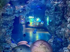 -海合安武汉极地海洋公园