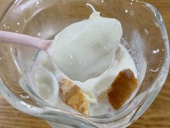 -金螃蟹