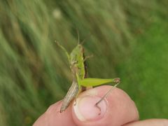 -白鹭湾湿地公园