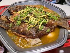 -马邦子·紫苏烤鱼(恒隆广场店)
