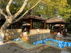 -春晖园度假酒店温泉