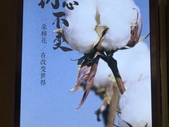 -Purcotton全棉时代(壹方城购物中心店)