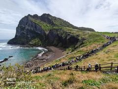 -涉地可支