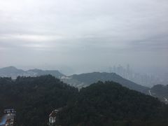-大金鹰园