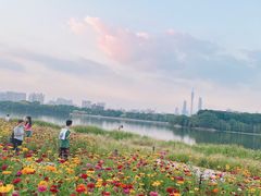 -海珠湖公园