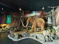 -抚顺煤矿博物馆