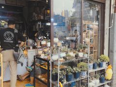 -万商花鸟市场