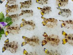 -富来美食(成发大厦店)