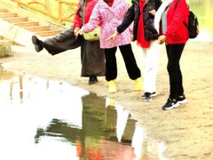 -金塔沙漠胡杨林景区