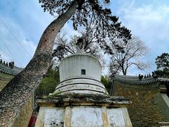 -潭柘寺景区