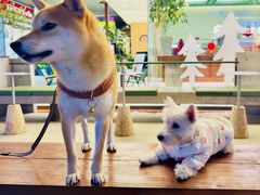 -微焙咖啡工厂(海峡创意产业园·红坊店)