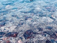 -小黑石海滨浴场·停车场