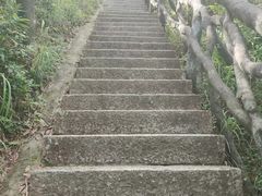 -梧桐山风景名胜区