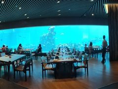 -海棠湾洲际-涛·海底餐厅·美人鱼·自助餐·海底隧道