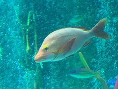 -沈阳海洋探索中心