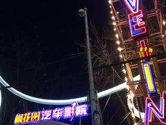 -枫花园汽车电影院(朝阳公园店)