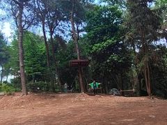 -铁山坪森林公园