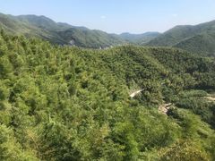 -宁波浙东大竹海景区