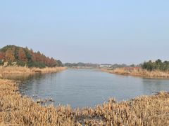 -贡湖湾湿地公园