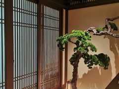 -揽季锅物会.福建黄鱼.海鲜姿造(五四路店)