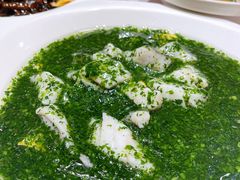 翡翠黄鱼片-光明邨大酒家(汇阳广场店)